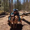 Breece Robertson '00 on the Colorado Trail near Mount Shavano with her dogs Ellie and Maple.