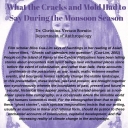 Sornito Brown Bag flyer