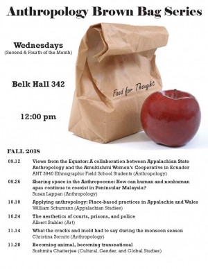 Anthropology Brown Bag Fall 2018 image