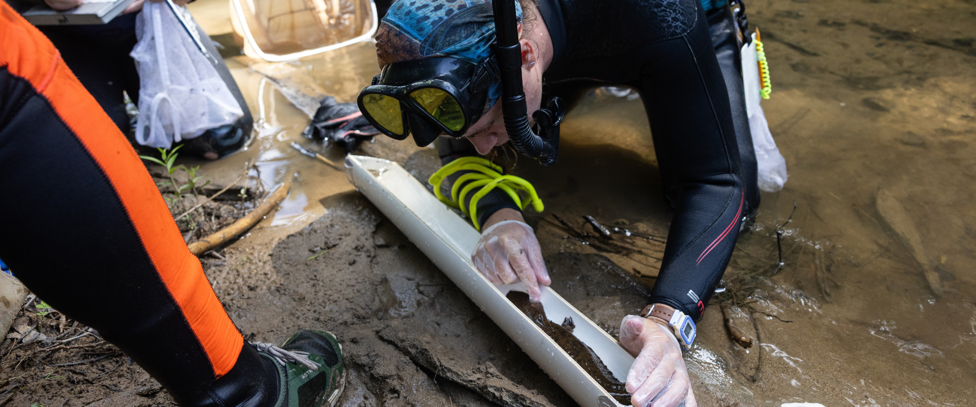 Graduate and Professional School