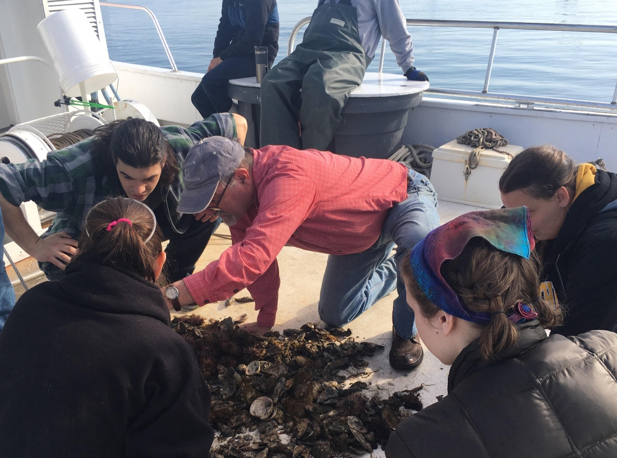 Dr. Steve Hageman, center, on the deck of the University of North Carolina Institute of Marine Science’s research vessel in spring 2018, examining invertebrate organisms dredged from the seafloor with paleontology students from Appalachian State University. Hageman and the team were along the North Carolina coast near Atlantic Beach and Morehead City. Photo submitted