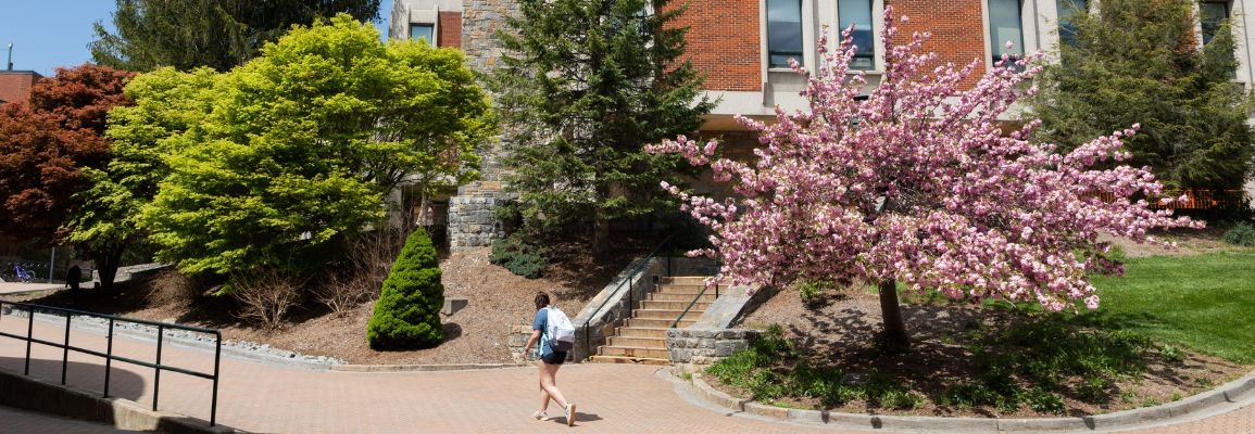 Appalachian State University's Boone campus in the spring.