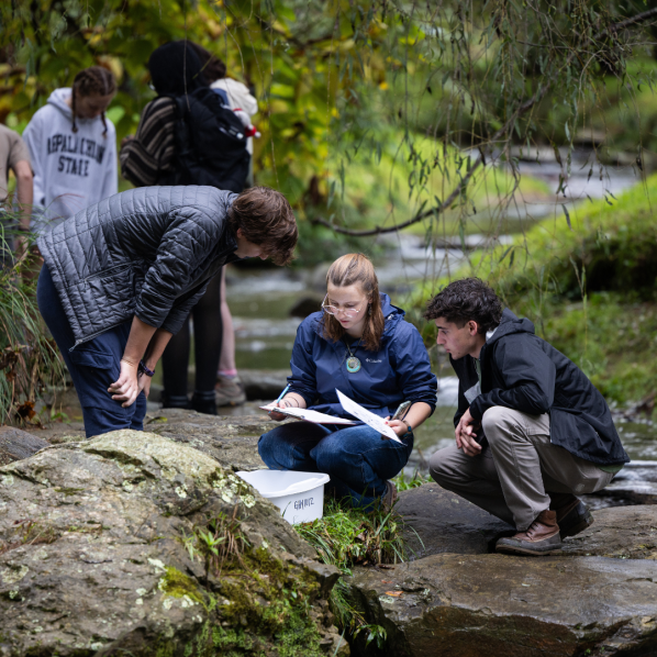 Three students enrolled in GHY 1012 conduct fieldwork in a stream at Durham Park.