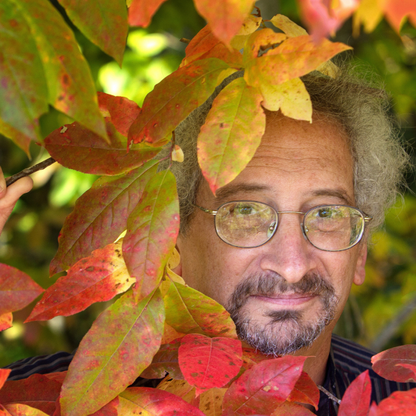 Dr. Howard Neufeld is a professor of plant ecophysiology in the Department of Biology. Photo by Marie Freeman