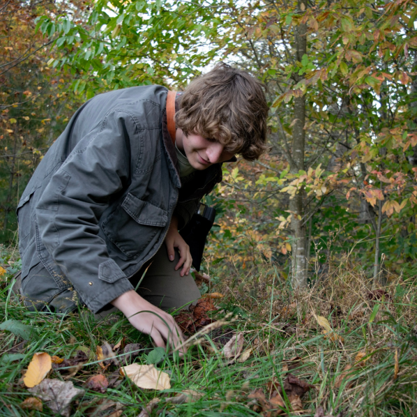 A person in a gray jacket kneels in the woods, looking down at the ground.