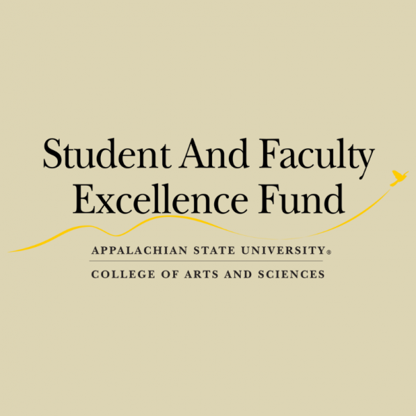 Student and Faculty Excellence Fund (SAFE) graphic