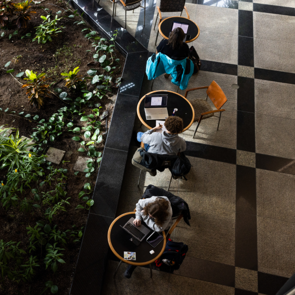 Students studying in the Solarium at Appalachian State University.