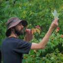 App State’s Andrew Jenkins ’12, senior lecturer in the Department of Biology, displays an oak leaf while guiding App State students and local community members on a May 2022 hike in North Carolina’s Blue Ridge Mountains. Blue Ridge Conservancy photo