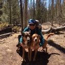 Breece Robertson '00 on the Colorado Trail near Mount Shavano with her dogs Ellie and Maple. 