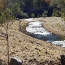 This October 2020 photo shows a free-flowing New River, unimpeded by the Payne Branch dam that was removed from its Middle Fork as part of the grant-funded environmental restoration project completed by Appalachian State University’s New River Light and Power. Young trees planted near the river as part of the project are visible in the foreground and will help stabilize the river’s banks. Photo by Matt Makdad