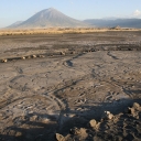 The Engare Sero footprint site in Northern Tanzania, Africa. Photo by Cynthia Liutkus-Pierce