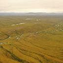 Water tracks, shown by the darker curvilinear parallel bands of green vegetation, transmit water downslope into the Upper Kuparuk River on the North Slope of Alaska in July 2019. Credit: Qifan Yang