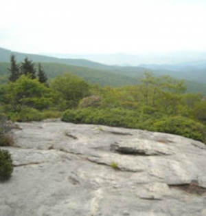 National Park Service Internships: The Blue Ridge Parkway