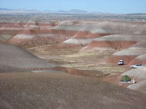 Triassic Trip 2008, including Anna A. Littlefield. This image shows students measuring the thickness of the layers of rock exposed in the Blue Hills near St. Johns, Arizona. This allowed the participants to put the fossils in stratigraphic order and compare them to other localities, such as Petrified Forest National Park. Photo by Kristan Cockerill.