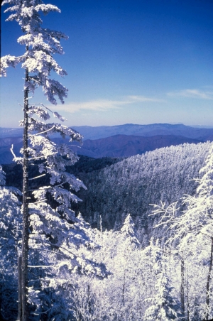 Great Smoky Mountains National Park as seen in a winter photograph taken after a heavy frost. Photo courtesy of Great Smoky Mountains National Park