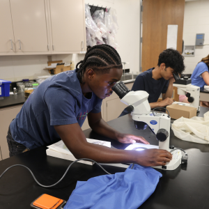 Students in App State’s Summer Ventures Aquatic Ecology research course examine aquatic samples under microscopes during a laboratory session. Photo submitted
