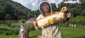 Saving the Bees