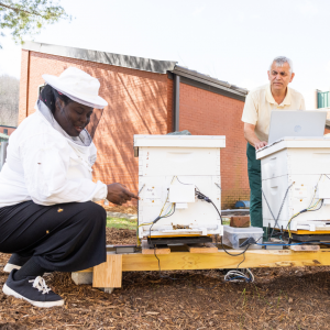 App State senior Temitayo Olofintuyi, left, a Beemon research team member and computer science major from Greensboro, and Dr. Rahman Tashakkori, the Lowe’s Distinguished Professor of Computer Science in App State’s Department of Computer Science, inspect two Beemon Hive Monitoring Systems on App State’s Boone campus. Tashakkori and his research team received a grant for over $640,000 from NCInnovation to commercialize four parts of the Beemon Hive Monitoring System. Photo by Chase Reynolds