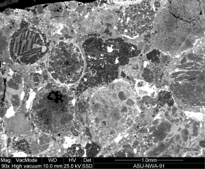 sample of an ordinary chondrite (a type of meteorite) imaged using the Scanning Electron Microscope in the Dewel Micrscopy Facility Photo by Anthony Love