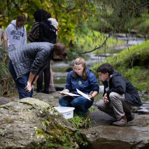 Three students enrolled in GHY 1012 conduct fieldwork in a stream at Durham Park.