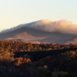 Autumn trees in the foreground with a mountain in the background, partly covered by a layer of clouds under a clear sky.