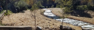 This October 2020 photo shows a free-flowing New River, unimpeded by the Payne Branch dam that was removed from its Middle Fork as part of the grant-funded environmental restoration project completed by Appalachian State University’s New River Light and Power. Young trees planted near the river as part of the project are visible in the foreground and will help stabilize the river’s banks. Photo by Matt Makdad