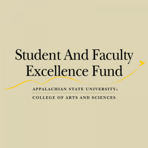 Student and Faculty Excellence Fund (SAFE) graphic