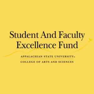 Student and Faculty Excellence (SAFE) title mark