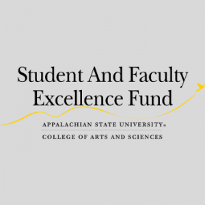 Student and Faculty Excellence Fund (SAFE)
